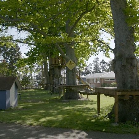 Te Aroha Holiday Park And Motels Buitenkant foto