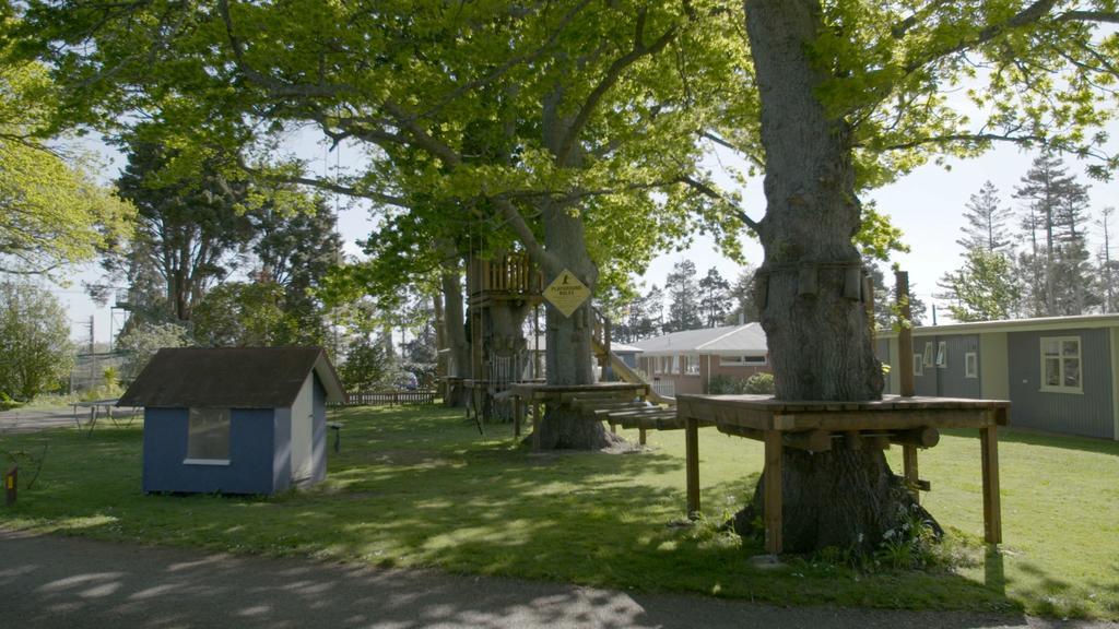 Te Aroha Holiday Park And Motels Buitenkant foto