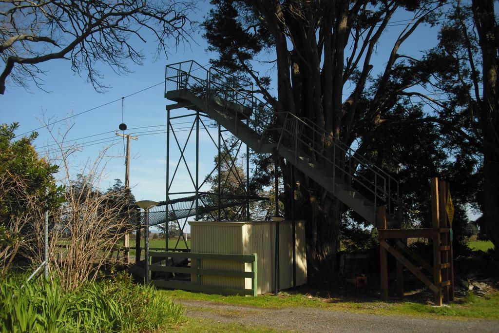Te Aroha Holiday Park And Motels Buitenkant foto