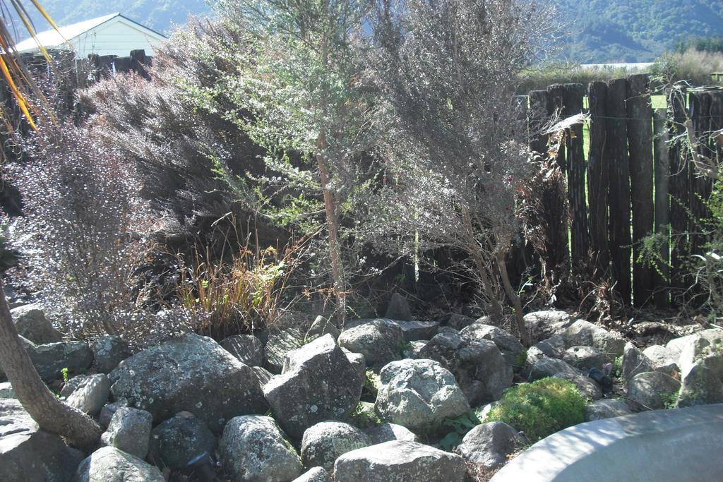 Te Aroha Holiday Park And Motels Buitenkant foto